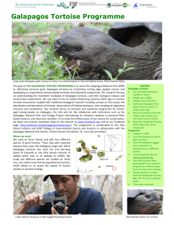 Galapagos Tortoise Programme