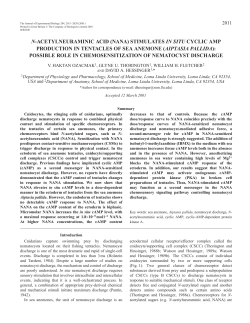 Role of cyclic AMP in nematocyst discharge