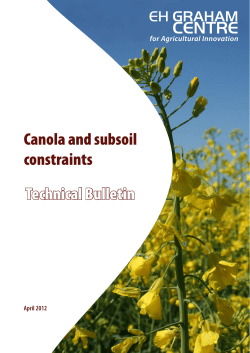 Canola and subsoil constraints Technical Bulletin