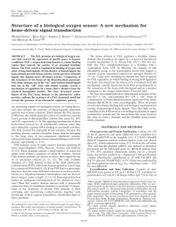 Structure of a biological oxygen sensor: A new