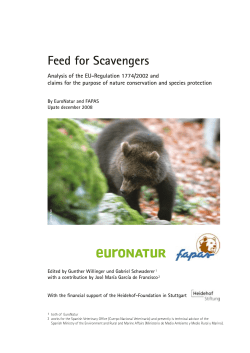 Feed for Scavengers, december 2008
