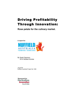 Driving Profitability Through Innovation