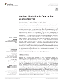 Nutrient Limitation in Central Red Sea Mangroves