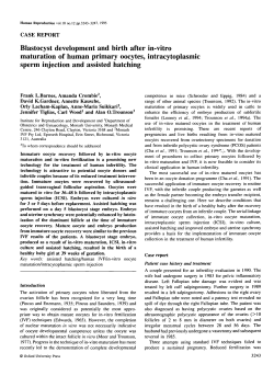Blastocyst development and birth after in