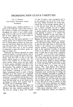 promising new guava varieties - Florida State Horticultural Society