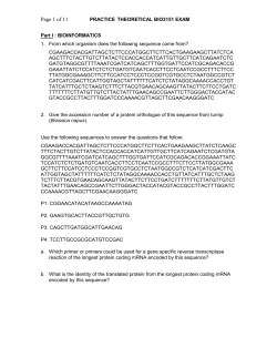 A recombinant plasmid was generated as follows: PCR amplification