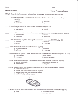 Chapter 20 Vocabulary Review