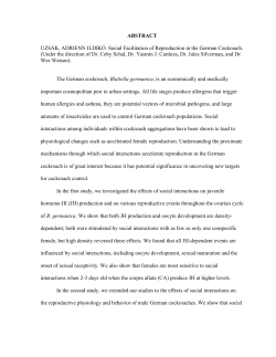 ABSTRACT UZS&Aacute;K, ADRIENN ILDIK&Oacute;. Social Facilitation of