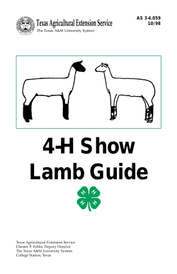 4-H Show Lamb Guide - College of Agriculture and Life Sciences
