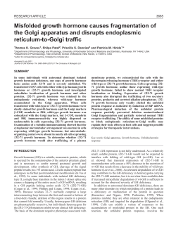 Misfolded GH alters protein trafficking - Journal of Cell Science