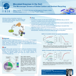 Microbial Enzymes in the Soil