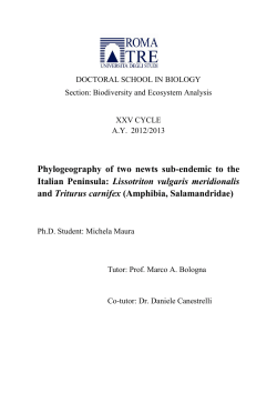 Phylogeography of two newts sub-endemic to the Italian Peninsula