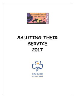 saluting their service 2017