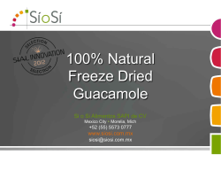 100% Natural Freeze Dried Guacamole
