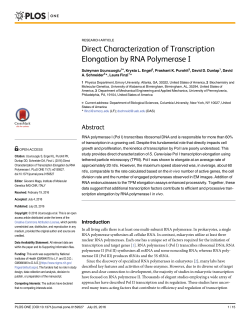 Direct Characterization of Transcription Elongation by RNA