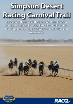 Simpson Desert Racing Carnival Trail