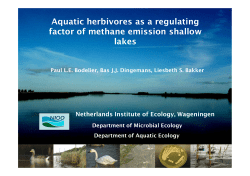 Aquatic herbivores as a regulating factor of methane emission