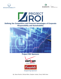 Project ROI Report