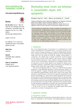 Illuminating neural circuits and behaviour in Caenorhabditis elegans