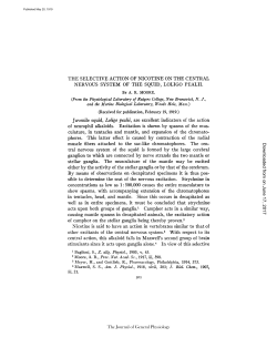 THE SELECTIVE ACTION OF NICOTINE ON THE CENTRAL