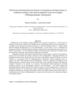 Historical and biomechanical analysis of integration and