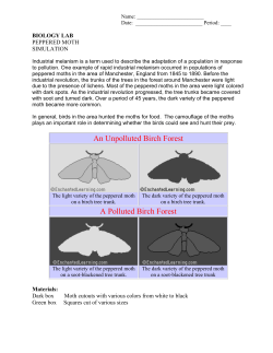 An Unpolluted Birch Forest A Polluted Birch Forest