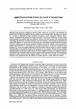 Applied Electrical Fields Polarize the Growth of