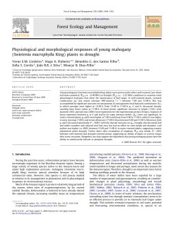 Physiological and morphological responses of young mahogany