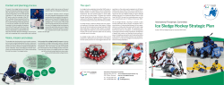 Ice Sledge Hockey Strategic Plan