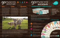 MacroBar sell sheet