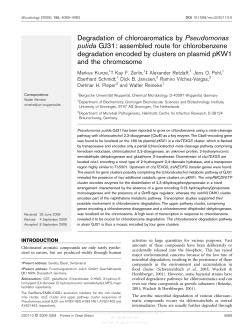 Degradation of chloroaromatics by Pseudomonas