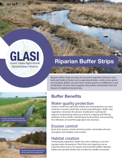 Riparian Buffer Strips
