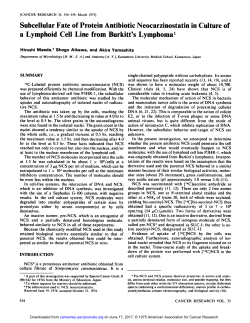 Subcellular Fate of Protein Antibiotic