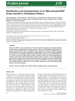 Identification and characterization of an ABA‐activated MAP kinase