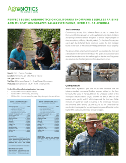 Kerman Raisin Grape Trial - Perfect Blend Biotic Fertilizers