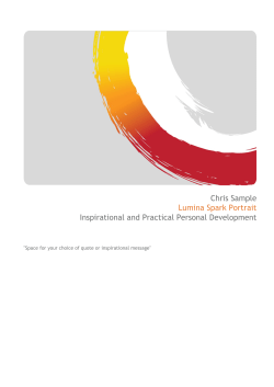 Chris Sample Lumina Spark Portrait Inspirational and Practical