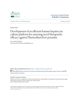 Development of an efficient human hepatocyte culture platform for