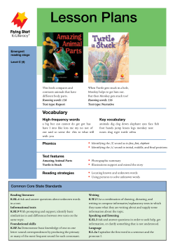 Lesson Plans - Despegando hacia la lectura