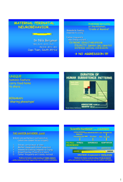 maternal perinatal neurobehavior