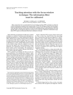 Tracking attention with the focus-window technique