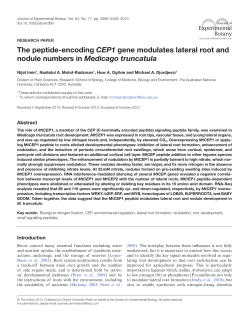 PDF - Oxford Academic - Oxford University Press