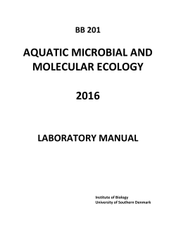 Lab manual