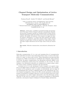 Channel Design and Optimization of Active Transport Molecular