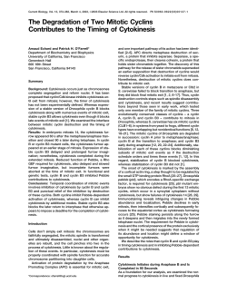 The Degradation of Two Mitotic Cyclins