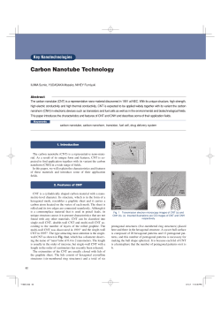 Carbon Nanotube Technology