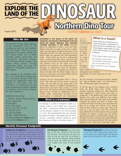 dino single pgs