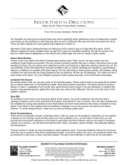 Indoor Starts vs. Direct Sown - Placer County Master Gardener