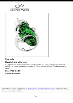 Chamelia - David Wein