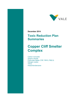 Smelter Toxic Reduction Plan Summary - Amendment
