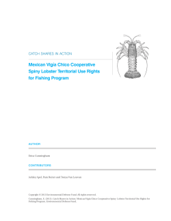 Mexican Vig&iacute;a Chico Cooperative Spiny Lobster Territorial Use